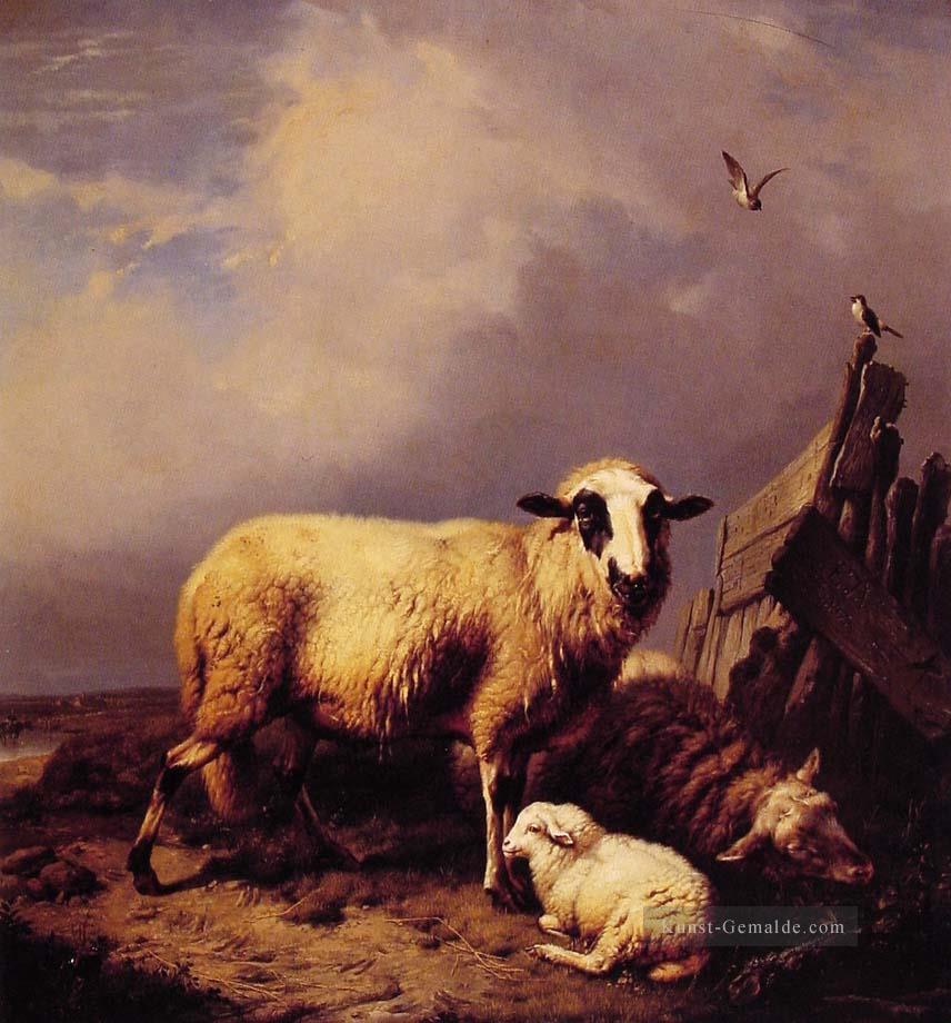Wach das Lamm Eugene Verboeckhoven Tier Schaf Ölgemälde